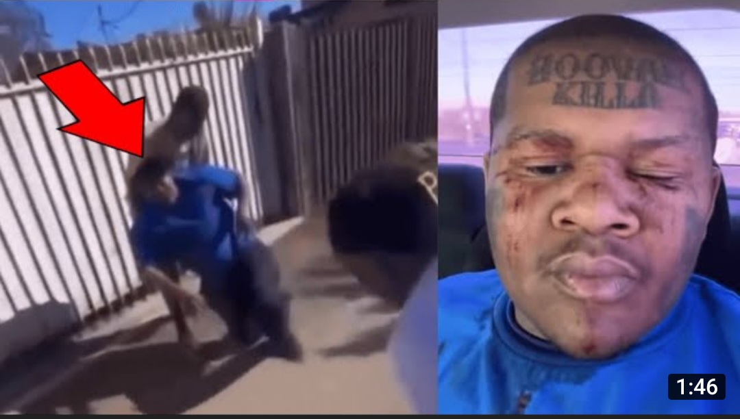 Screenshot_20220210-200718_YouTube